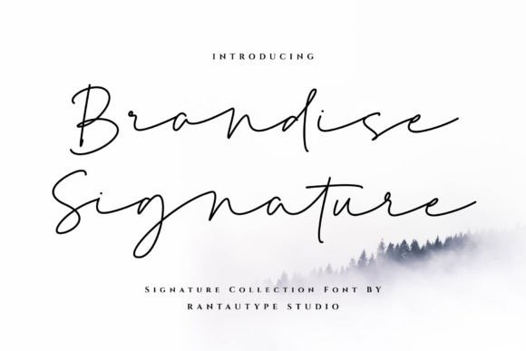 Brandise Signature: A Font with Authentic Character